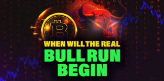 When will the Real Bull Market Begin