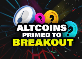 4 Top Altcoins Primed for a CRYPTO BREAKOUT
