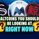 Altcoins You Should Be Looking at Now