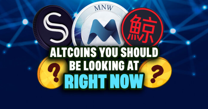 Altcoins You Should Be Looking at Now