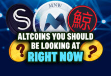 5 Altcoins You Should be Looking at Now