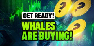 Crypto Whales Are Buying These 3 Altcoins
