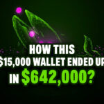 How This $15,000 Wallet Ended Up with $642,000?