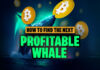 How to Find the Next Profitable Whale