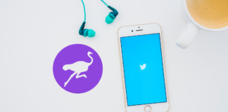 4 Decentralized Platforms to Replace Twitter