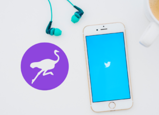 4 Decentralized Platforms to Replace Twitter
