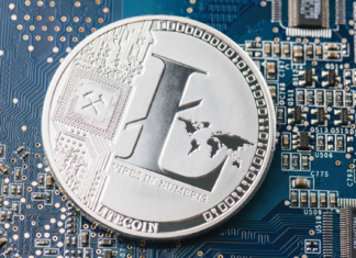 How the Next Litecoin Halving Will Impact the Crypto Ecosystem