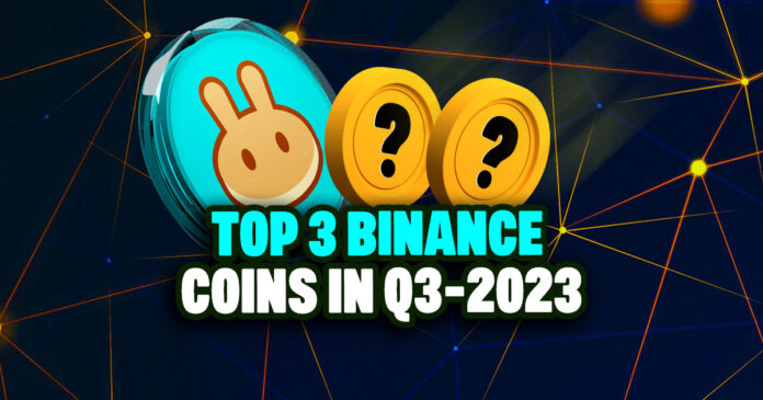 top 3 binance coins