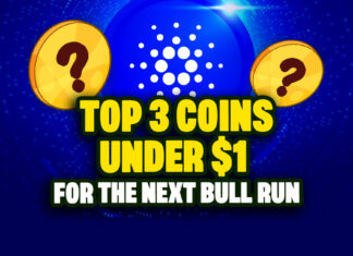 Top 3 Coins Under $1 for the Next Bull Run