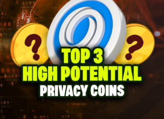 Top 3 High Potential Privacy Coins