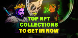 Top NFT Collections to get into now