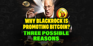 Why Blackrock is Promoting Bitcoin? 3 Possible Reasons
