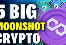 Top 5 MOONSHOT Crypto in Polygon MATIC Ecosystem