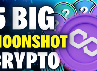 Top 5 MOONSHOT Crypto in Polygon MATIC Ecosystem