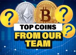Top Coins From Our Team