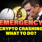 EMERGENCY CRYPTO CRASHING, What to do?