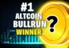 #1 Altcoin in the Biggest Next BULLRUN Crypto Narrative