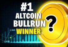 #1 Altcoin in the Biggest Next BULLRUN Crypto Narrative