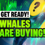 Crypto Whales are SECRETLY Buying These 3 Altcoins