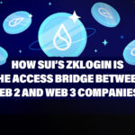 Sui's Zklogin Is the Bridge Between Web2 and Web3 Companies