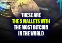These Are the 5 Wallets With the Most Bitcoin in the World