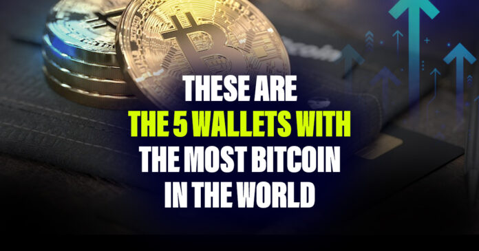 These Are the 5 Wallets With the Most Bitcoin in the World