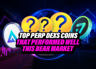 Top Perp Dex Coins That Performed Well This Bear Market