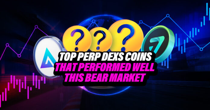 Top Perp Dex Coins That Performed Well This Bear Market