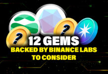 12 Gems Backed by Binance Labs to Watch - Part 1
