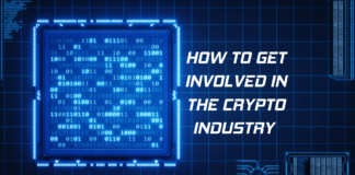 A Beginner's Guide: How to Get Involved in the Crypto Industry
