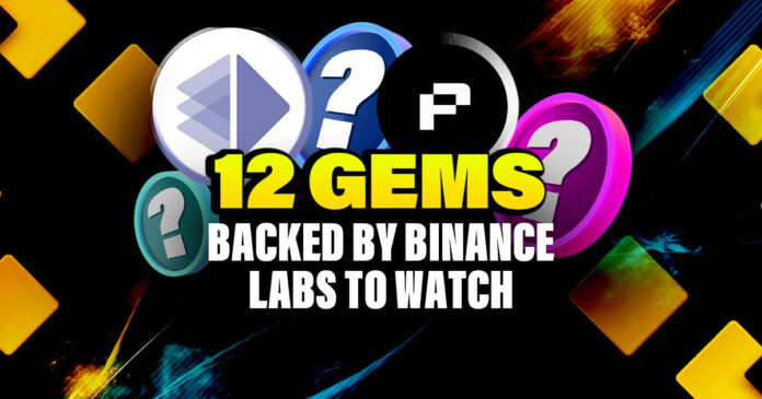 12 Gems Backed by Binance Labs to Watch – Part 1