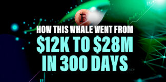 How This Whale Went From $12k to $28M in 300 Days