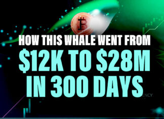 How This Whale Went From $12k to $28M in 300 Days