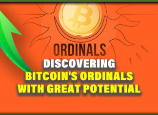 Discovering Bitcoin's Ordinals with Great Potential