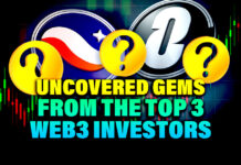 Uncovered Gems From Top Web3 Investors
