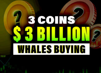 WHY Crypto Whales Are Buying These 3 Altcoins