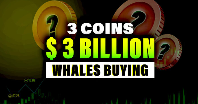 WHY Crypto Whales Are Buying These 3 Altcoins