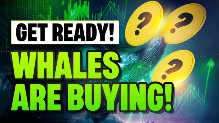 Crypto Whales are Accumulating these Altcoins for the BIG Bullrun