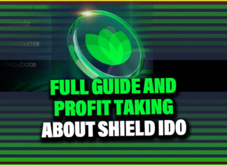 Everything About the Upcoming Serenity Shield IDO