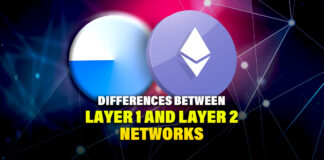 Differences Between Layer 1 and Layer 2 Networks