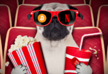 Netflix to Release Crypto Movie: Bitconned