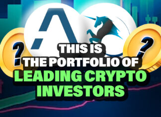 These are the Portfolios of Leading Crypto Investors