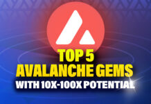 Top Avalanche Gems With 10x-100x Potential