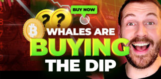 Whales are Buying These Altcoins