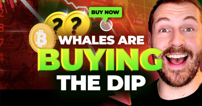 Whales are Buying These Altcoins