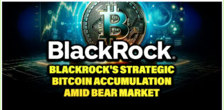 BlackRock's Strategic Bitcoin Accumulation Amid Bear Market