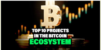 Top 10 Projects in the Bitcoin Ecosystem