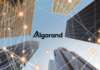 Algorand Implements a New Update to Reduce Block Times