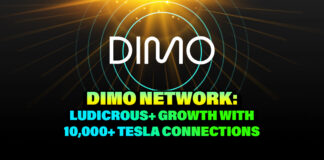 DIMO Network: Growth with 10,000+ Tesla Connections