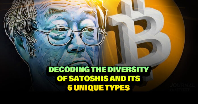 Decoding the Diversity of Satoshis and Its 6 Unique Types
